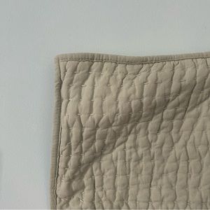 Pottery barn euro sham